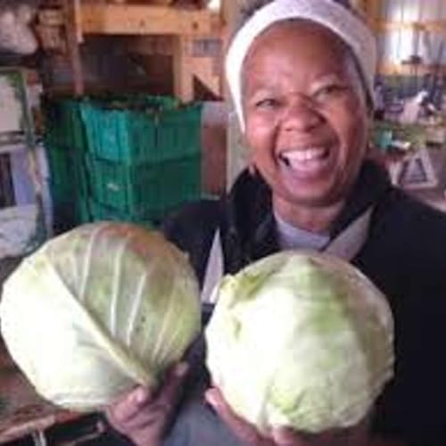 『The Story of Big Train Farm, Certified by the Real Organic Project』のカバーアート