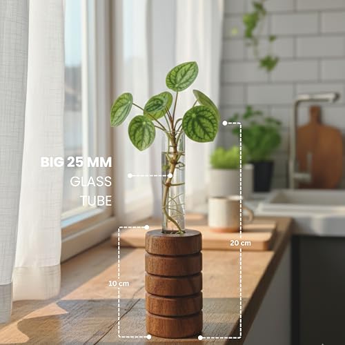 Image of Pilwal's Grooved Wooden Test Tube Vase | Big Test Tube Design for Cuttings & Hydroponics | Minimalist Wooden Planter | Modern Flower Stand | Unique Home Office Decor Gift. (Grooved Design)