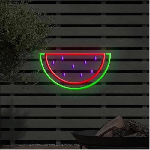 Enseigne néon pastèque lumineuse pour chambre avec variateur 20x30