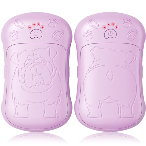 Handwärmer Elektrisch，2er Set 6000mAH Akku Elektrischer Handwärmer Wiederverwendbar Aufladbar Taschâ€¦ – Miniatur