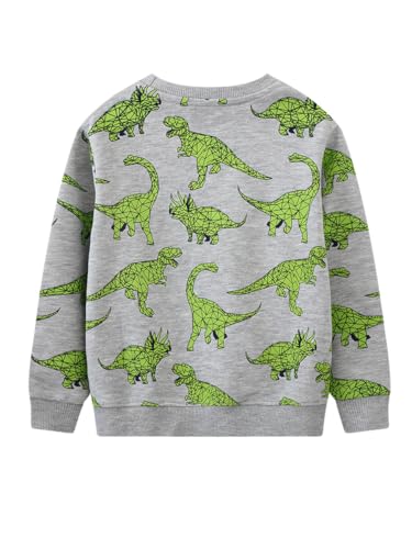 Boys Sweatshirts Casual Sweatshirts Cotton Sweatshirts Long Sleeve T-shirts Crew Neck Cartoon Tops for Boys-432