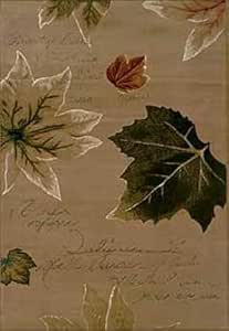 Amazon.com: 4ft1in x 6ft - dw08 Hellenic Rugs Westervelt Collection ...