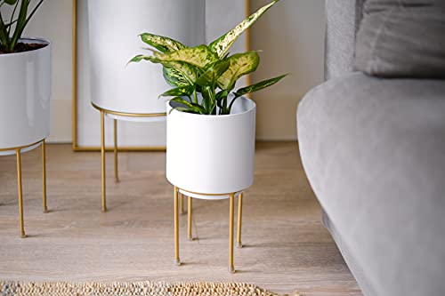Kimisty Set Of 3 Mid Century White Large Planters With Gold Metal Stand, Standing Metal Pot For Fig Tree, Snake Plant & Palm, Tall Floor Tree Planter, Modern Decoration For Living Room, Indoor Decor #TOP7