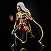 Hasbro Marvel X-Men Series 15-cm Collectible Storm and Marvel’s Thunderbird Action Figure Toys, Ages 4 and Up
