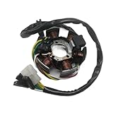 Performance : Bobine d'allumage magnéto pour moto, stator, bobine magnéto, le remplacement et la mise à niveau parfaits pour votre moto.