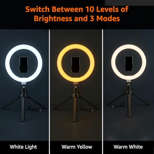 Image of Amazon Basics 10-inch Ring Light with Tripod Stand | 3 Color Modes | 10 Brightness Settings | 360 Rotation | Suitable for Mobile Phones & Camera, YouTube, Photoshoot, Videography and More