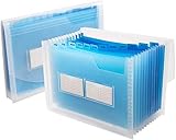 Sooez 13 Pockets Expanding File Folder with Sticky Labels, Accordion File Folder File Organizer...
