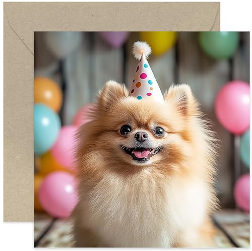 Fun Birthday Cards for Him or Her - Funny Pomeranian