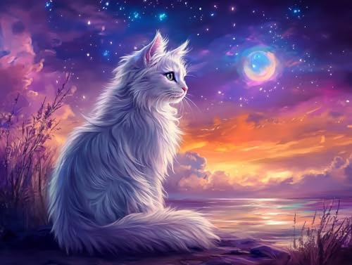 Peinture par numéro adulte chat et ciel étoilé sur toile 40x50 cm avec kit pinceaux