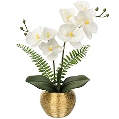 White Orchid With Gold Vase