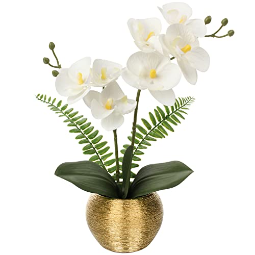 Small Fake Orchid Fake Plant, White Orchids Artificial Flowers with Gold Ceramic Vase Faux Orchid for Home Office Decor Indoor