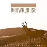  Brown Noise - 63Hz HP 882Hz LP, Pt. 22