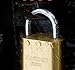 Edward Tools Harden 40mm Solid Brass Padlock with 3 Keys – Hardened Steel Shackle – Rustproof and Waterproof Lock for Cabinet Doors, Windows, Lockers