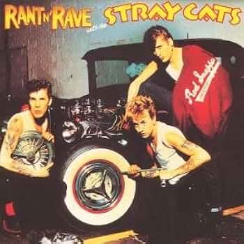 rave on STRAY CATS SPECIAL １＆２　２冊セット rave on STRAY CATS SPECIAL 1＆2 2冊セット オリジナル on
