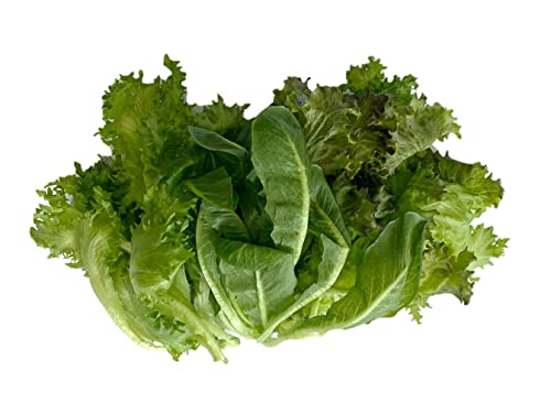Givvo pesticide-free mixed lettuce - Handpicked 200g Green