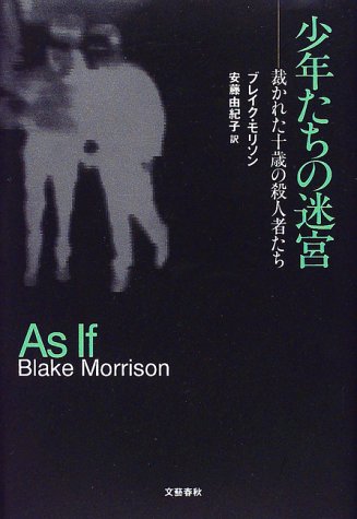 少年たちの迷宮―裁かれた十歳の殺人者たち