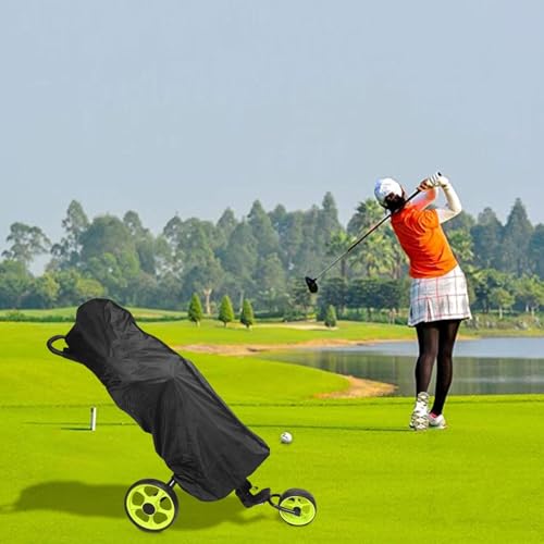Protección contra las inclemencias del tiempo para carrito de golf durante tus días de lluvia 6