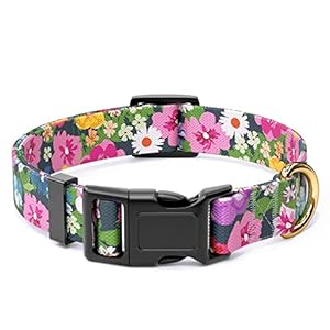 Rnivvi Dog Collar, Personalized Adjustable Dog Collars for Medium Dogs, Cute Puppy Collar for Boy and Girl Dogs, Soft Heavy Duty Pet Collar with Quick Release Buckle for Walking Running,Elegant Floral