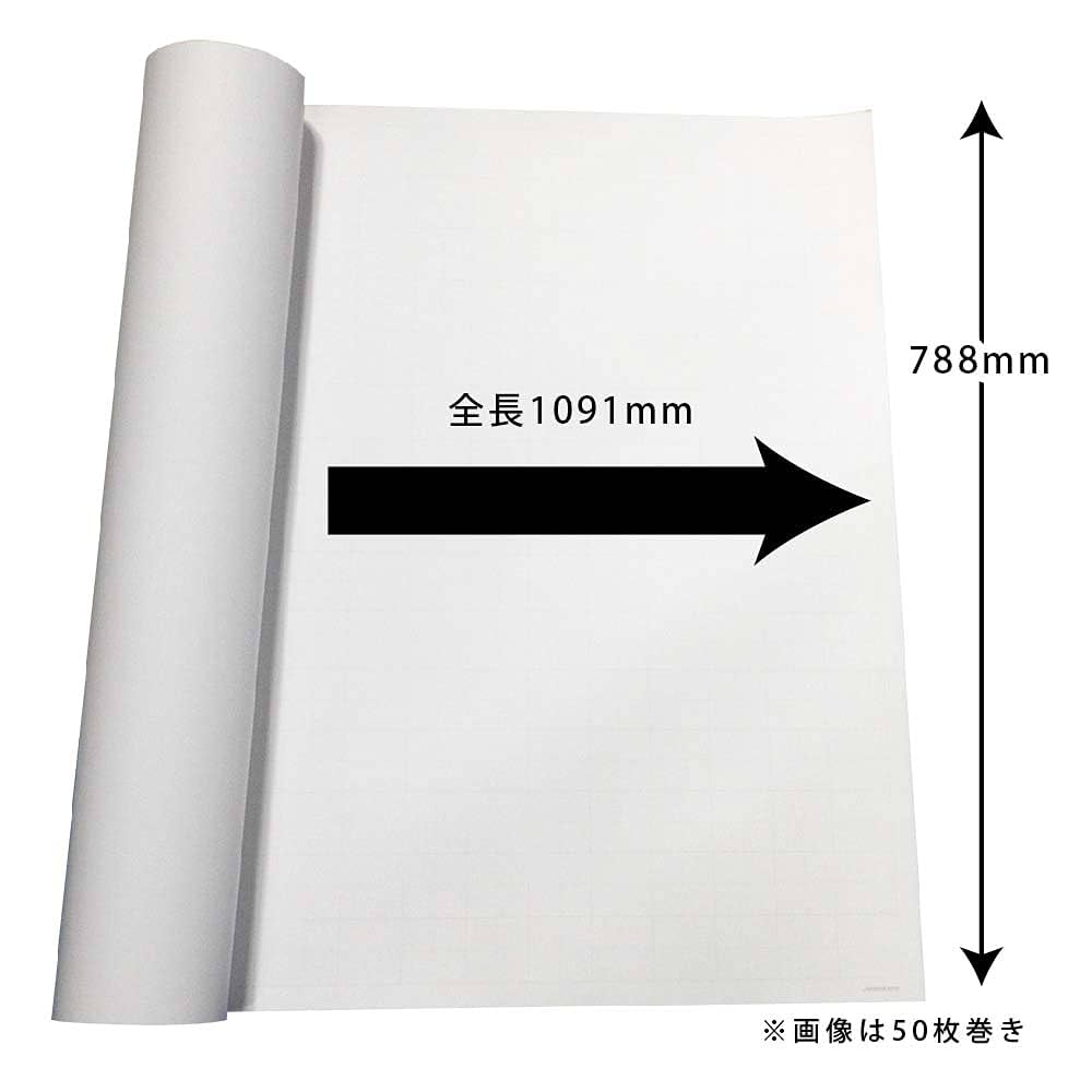 Amazon | エヒメ紙工 ゴークラ マス目入模造紙#70 セクション