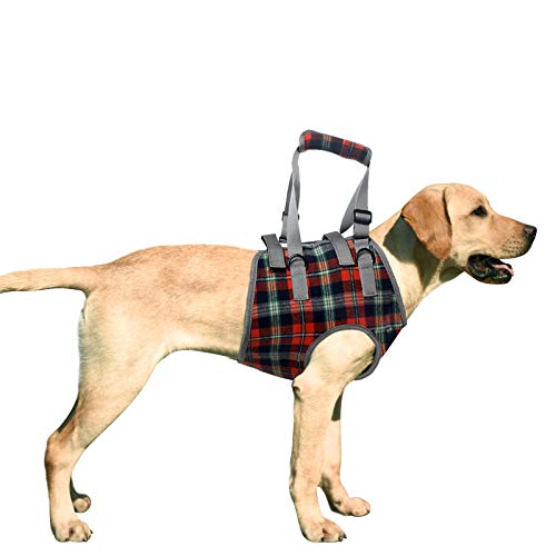 KZOBYD Arnés para perros delantero y piernas Cover