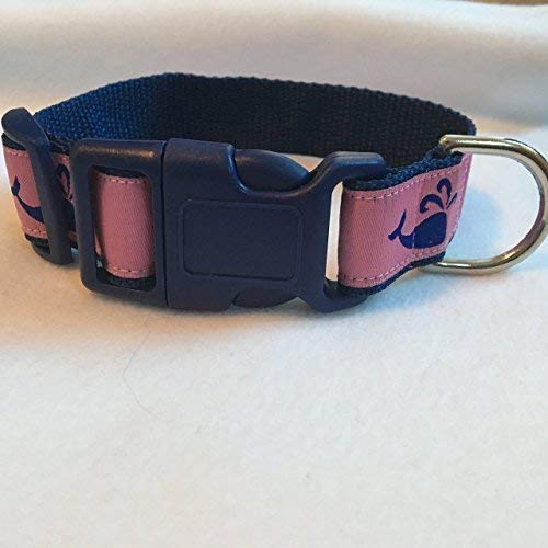 whale dog collar