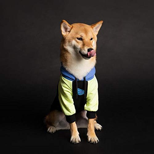 Moletom com Capuz para Cães, Dog Wings, Hoodie Wing, Verde Limão, GG