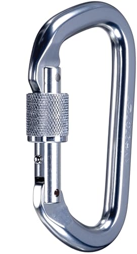 SMC Locking D Carabiner (Bright)