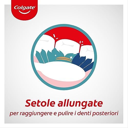 Colgate Extra Clean szczoteczka do zębów, średnia (1 opakowanie, 4 sztuki)