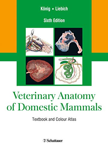  Veterinary Anatomy of Domestic Mammals: Textbook and Colour Atlas, Sixth Edition PDF