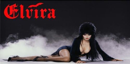 212 Main LPO1359 Elvira Photo License Plate