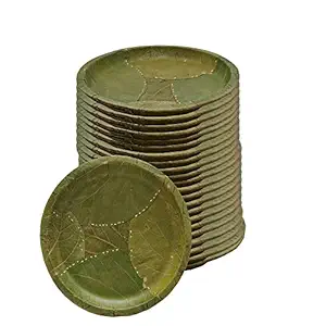 MESH Planet 100% Biodegradable_Eco Friendly_12 Inch Both Side Leaves Dinner Plates_Pack of 25_Natural Leaf Plates_ MTOPL9