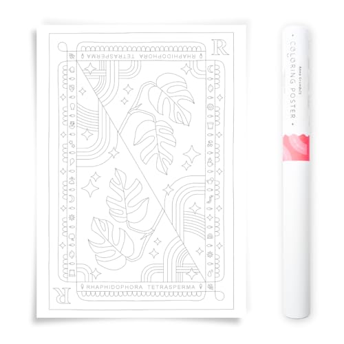 Illustration Botanique Rhaphidophora Tetrasperma Poster Créatif DIY 50x70cm