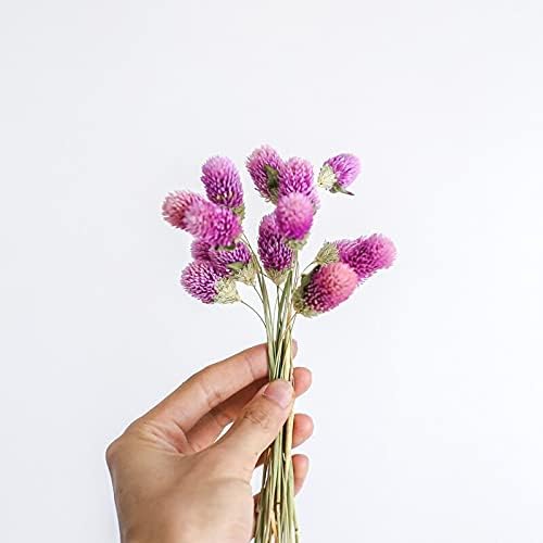 Amazon 無邪気な保存の乾燥花ブーケピンクアマランス花のアレンジメントベージュピンクの紫の家の結婚式のバレンタインインデコレーション Color Pink 15pcs Size 1 Bunch Flower 造花 オンライン通販