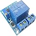 Bloepum 4X -X0001 DC 12V Battery Undervoltage Management Module Low Voltage Automatic Switch Recovery Protection Module