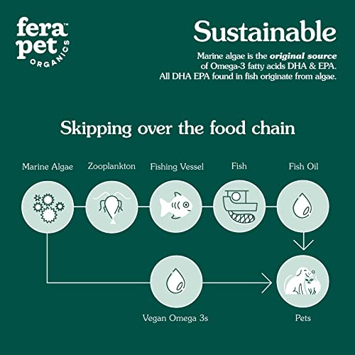 Fera Pets - Plant Based Omega 3s, 6, 9 - for Dogs and Cats - Made with Marine Algae + Flaxseed Oil - 100% Vegan DHA and EPA Supplement - for Healthy Skin, Coat, and Immune System - 8oz - Image 5