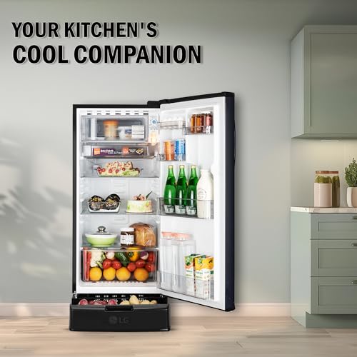 Image of LG 185 L, 2 Star, Direct Cool Single Door Refrigerator (GLD1925XOEF, Ebony Florance, Base stand with Drawer)