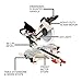 JET 12-Inch Sliding Dual-Bevel Compound Miter Saw, 1Ph 115V (Model JMS-12X)