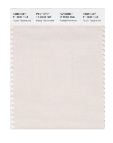 PANTONE Smart 11-0603X Color Swatch Card, Pastel Parchment