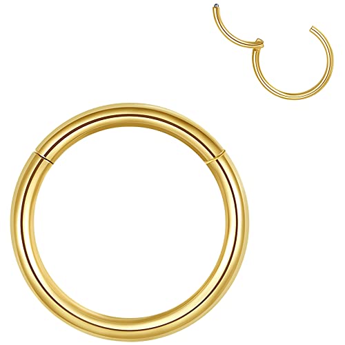 Hypoallergenic Hinged Hoop Nose Rings 20G 18G 16G 14G 12G 10G 8G Diameter 5mm to 16mm 316L Surgical Steel Septum Ring Body Piercing Jewelry Helix Cartilage Earrings