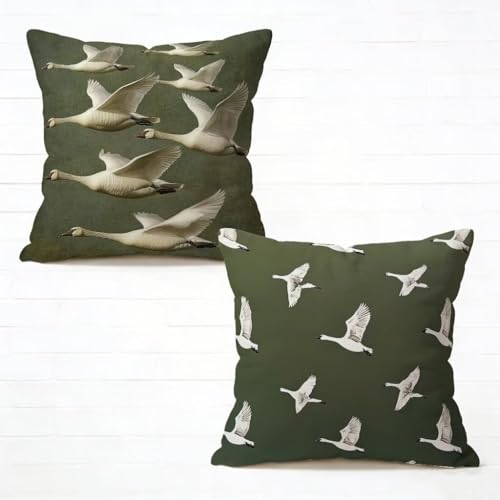 �N�b�V�����J�o�[ 40x40 cm 2���Z�b�g �}�X�^�[�h�O���[�� ���z�c�J�o�[ 40 x 40 �\�t�@�[ �N�b�V���� ���� �l�C ���O �N�b�V���� ���� �������J�o�[ HD���ʈ�� ���_�� �B���t�@�X�i�[�t���C�t�ăR���N�V���� �ƒ� �I�t�B�X �֎q �x�b