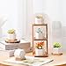 T4U Small White Succulent Planter Pots with Bamboo Tray Hexagon Set of 4, Geometric Ceramic Planter Plant Holder, Succulent Plant Gifts for Gardener Women Coworker, Home Office Table Desk Decoration