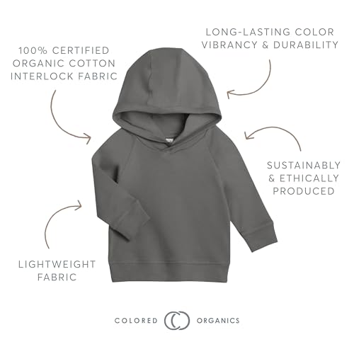 Colored Organics - Organic Cotton Long Sleeve Baby & Toddler Hoodie Pullover Shirt - Boy & Girl Clothing2