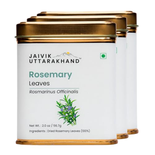 Image of Jaivik Uttarakhand - Rosemary Herbal Tea (170.1 g), Dry risemerry patti, Top Grade leaf, Long Shelf Life, Prepare Rosemary Water for Hair, Pack of 3 Tin Box