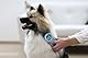 Kerbl 81901 Magic Brush Dog Blue Sky