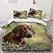 Hund-Motiv Bettwäsche 220x240cm Rhodesian Ridgeback Bettwäsche-Set GrüNer Rasen Mikrofaser Betten Set,Hund Haustier Bettbezug Schöne Tiere,Kissenbezug 80 x 80cm, Jungen Mädchen Bettwäsche