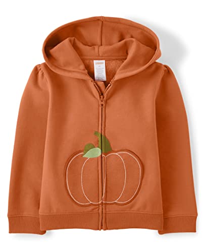 Gymboree Girls And Toddler Long Sleeve Zip Up Hoodie Sweatshirt, Pumpkin Orange, 7 (3033304) #TOP8