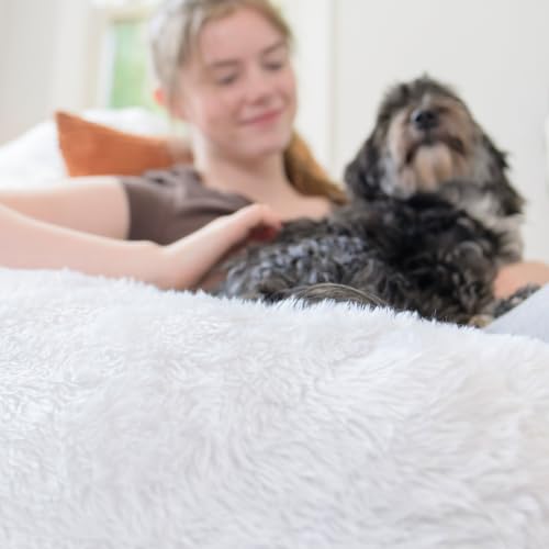 Image of Big Large Teardrop Foam Filled Bean Bag Chair with Removable Cover, Ivory Short Shag, 4 feet Big | Premium Shredded Foam Filled, Short Shag, Adult-Sized Comfortable Seating, Supports Up to 300 lbs, Perfect for Reading Nook