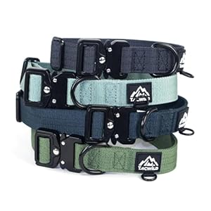 Dog Collar for Large Dogs – Adjustable, Chew Proof Nylon Collar with Metal Quick Release Buckle and D-Ring for Dog Tags (Dark Green, L)