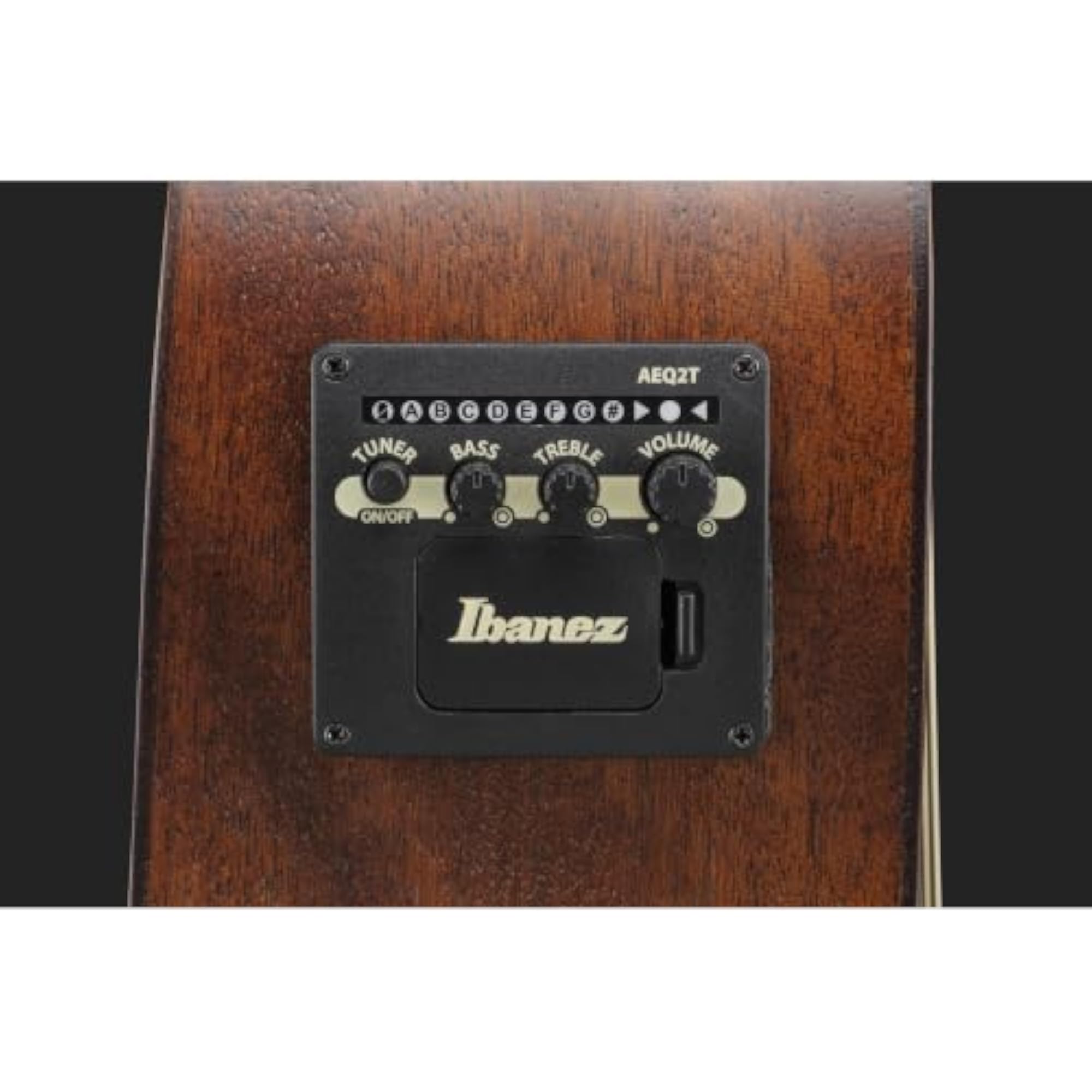 Mahogany Acoustic Guitar Pf Series