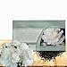 Outsidepride Carnation White - 1000 Seeds